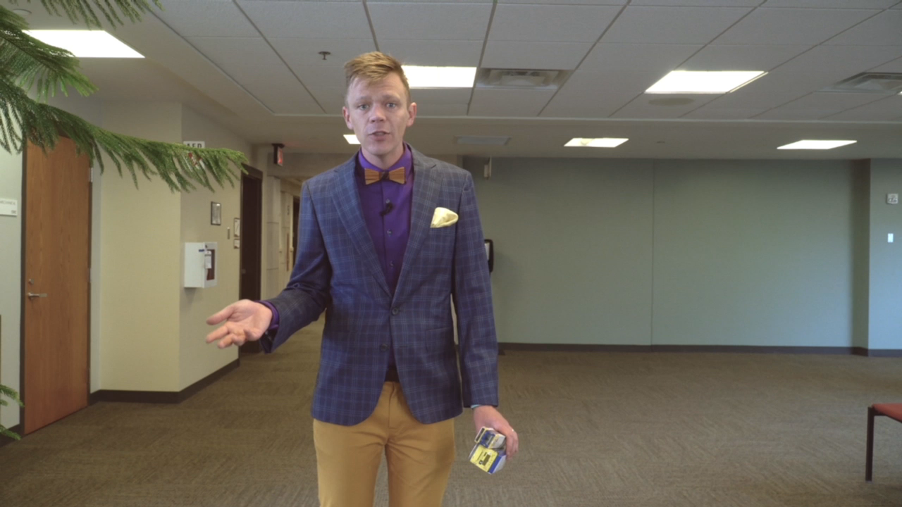 Connecting the East Metro: Gold Line - Why Bus Rapid Transit?